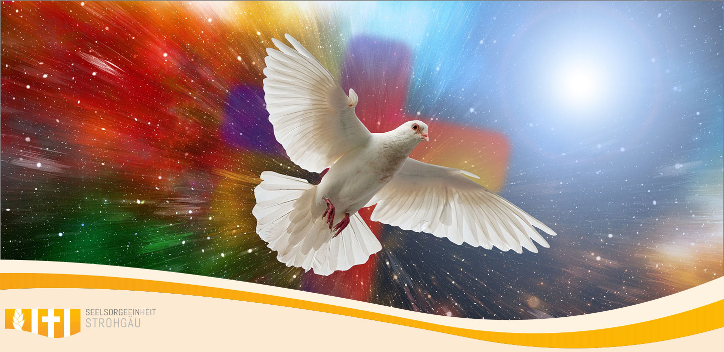 Firmung in der Seelsorgeeinheit Strohgäu